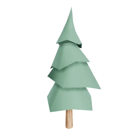 Fir